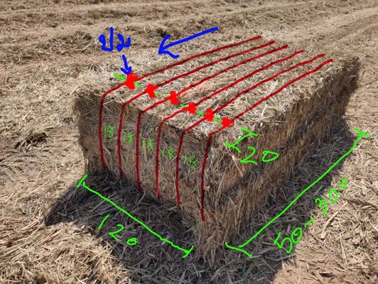 Strong Knot Agriculture PP Baler Packing Twine For Hay Grass Harvest UV Resistance