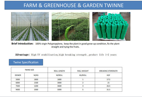 UV Resistant Polypropylene Tying Twine with High Tensile Strength (105KGF - 250KGF) and Customizable Length for Greenhouse and Agriculture