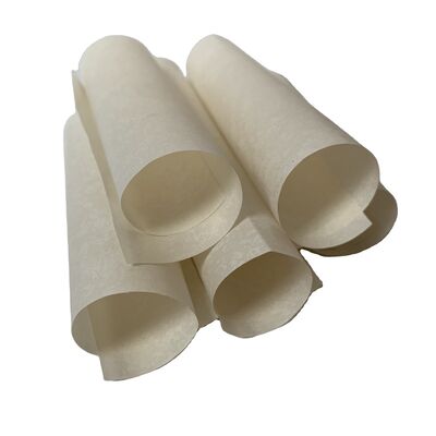 Izolasyon direnci 1.12 çarpı 10 güç 14 ohm motor izolasyon kağıdı 300 dereceye kadar ısıya dirençli olarak tasarlanmıştır